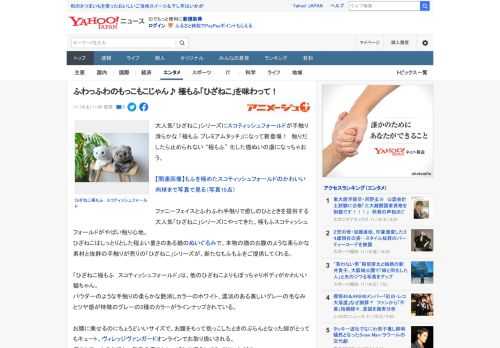 大人気「ひざねこ」シリーズにスコティッシュフォールドが手触り滑らかな 「極もふ プレミアムタッチ」になって新登場！　触りだしたら止められない “極もふ” 化した猫ぬいの虜になっちゃおう。  